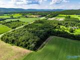 27.58 Acres Highway 431 - Photo 7