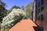 33 Sunset Drive - Photo 6