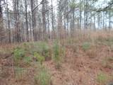67 acres Us Highway 280 - Photo 10