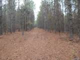 67 acres Us Highway 280 - Photo 11