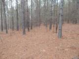 67 acres Us Highway 280 - Photo 12