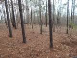 67 acres Us Highway 280 - Photo 14