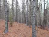 67 acres Us Highway 280 - Photo 15
