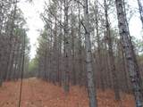 67 acres Us Highway 280 - Photo 16