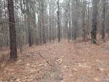 67 acres Us Highway 280 - Photo 17