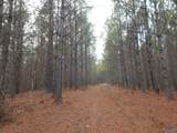 67 acres Us Highway 280 - Photo 18