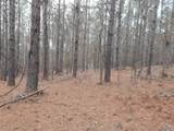 67 acres Us Highway 280 - Photo 19