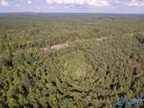 67 acres Us Highway 280 - Photo 2