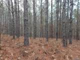 67 acres Us Highway 280 - Photo 20