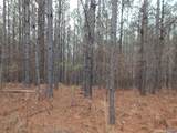 67 acres Us Highway 280 - Photo 24