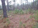 67 acres Us Highway 280 - Photo 28