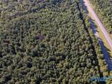 67 acres Us Highway 280 - Photo 3