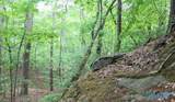 Lot 11 Bear Creek Trail - Photo 1
