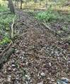 Lot 11 Bear Creek Trail - Photo 2