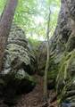 Lot 11 Bear Creek Trail - Photo 3