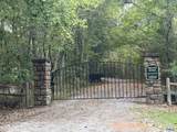 Lot 11 Bear Creek Trail - Photo 8