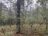 Lot 11 Bear Creek Trail - Photo 9