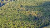 77 acres Wilson Street - Photo 10