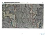 61.5 ac Butler Mill Road - Photo 2