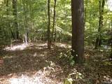 Pin# 25174 Tidmore Bend Road - Photo 12