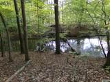 Pin# 25174 Tidmore Bend Road - Photo 9