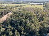 Lot 2 County Road 224 - Photo 10