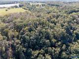 Lot 3 County Road 224 - Photo 12