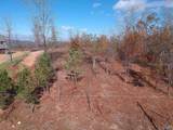 56 Raymond Lane - Photo 4