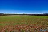 237 acres Narrow Lane - Photo 13