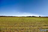 237 acres Narrow Lane - Photo 22