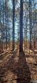 2.28 ACRES Scott Road - Photo 4