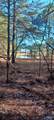 2.28 ACRES Scott Road - Photo 6