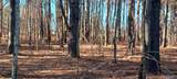 2.28 ACRES Scott Road - Photo 7