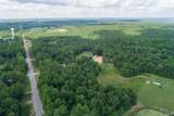 46 acres Alabama Highway 79 - Photo 3