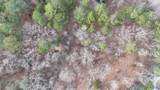 9175 Hokes Bluff Road - Photo 11