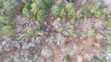 9175 Hokes Bluff Road - Photo 12