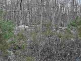1.48 Acres Wesley Childers Road - Photo 2