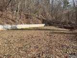 4.45 Acres Riddles Bend Road - Photo 9