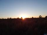 4321 County Road 429 - Photo 23