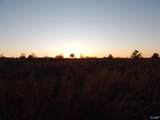 4321 County Road 429 - Photo 29