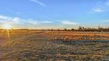 4321 County Road 429 - Photo 6