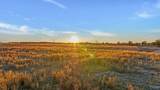4321 County Road 429 - Photo 8