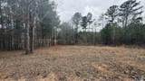 3.6 Acres Hough Road - Photo 6