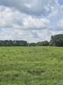 118 Treva Lane - Photo 10