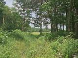 118 Treva Lane - Photo 7