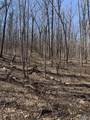 14/3 acres Black Hawk - Photo 8