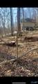5 Acres Hurricane Road - Photo 8