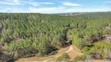 1003 County Road 207 - Photo 44