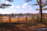 9 AC County Road 1464 - Photo 2