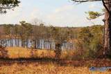 9 AC County Road 1464 - Photo 6